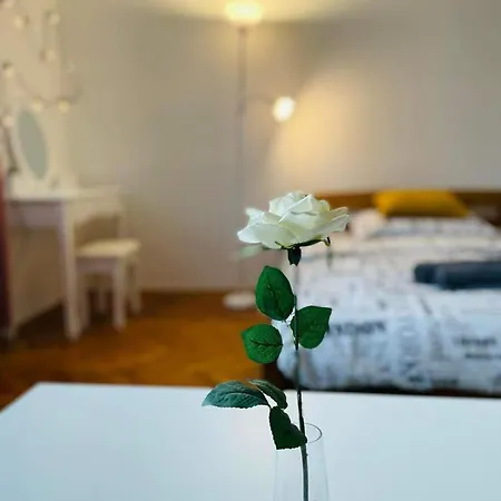 Apartamento 2 Bdr In Historic Center *